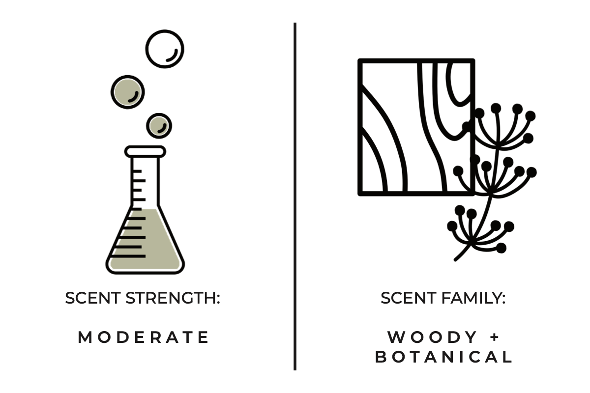 Santal Hand Soap + Body Wash